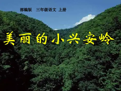 人教版小学语文三年级上册第六单元第20课《美丽的小兴安岭》教学课件