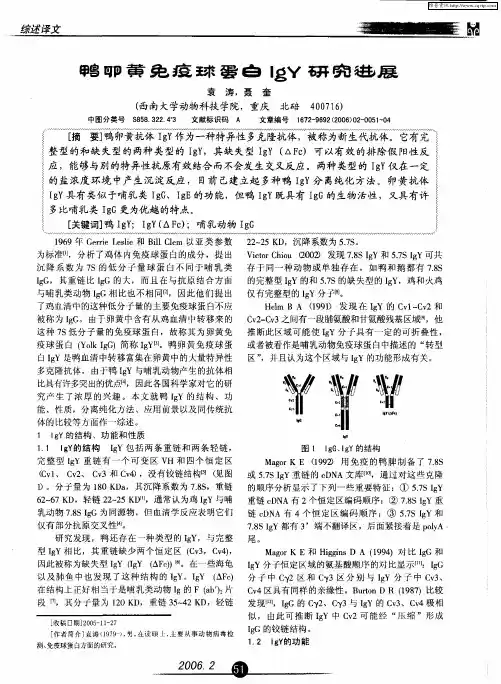 鸭卵黄免疫球蛋白IgY研究进展
