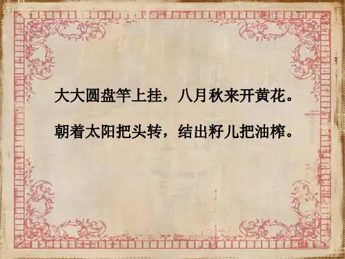 一年级上册美术课件—第11课 花儿寄深情 ▏人教新课标(2014秋) (共17张PPT)
