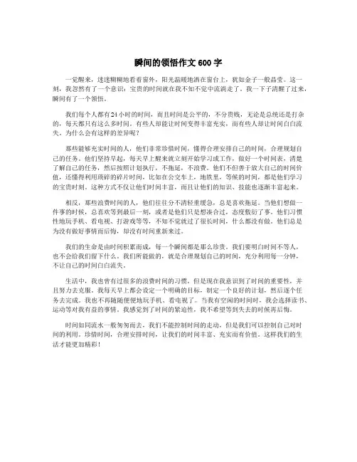 瞬间的领悟作文600字