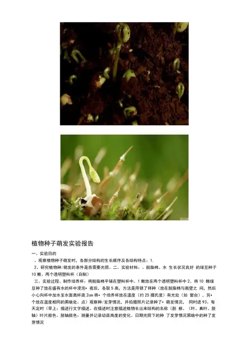 植物种子萌发试验报告
