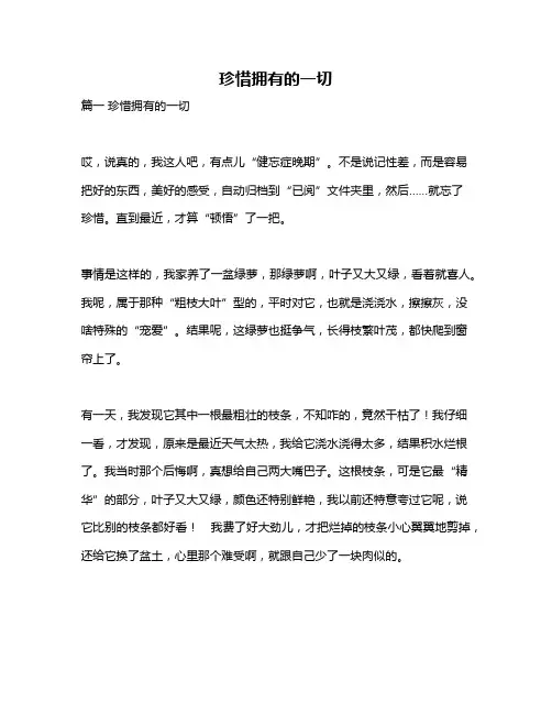 作文《珍惜拥有的一切》
