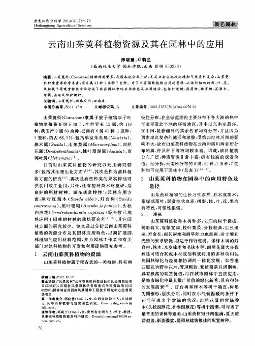云南山茱萸科植物资源及其在园林中的应用
