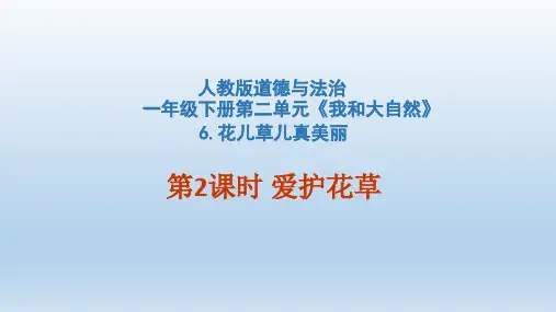 一年级下册道德与法治课件-6花儿草儿真美丽  人教(新版)  (共24张PPT)