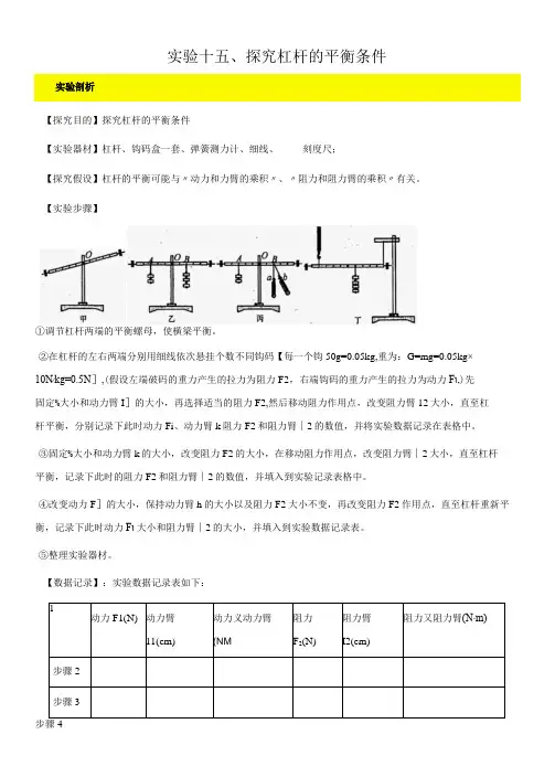 实验15 探究杠杆的平衡条件实验(解析版)