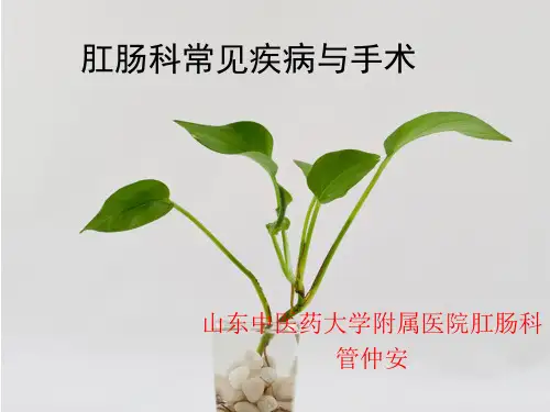 肛肠科常见疾病与手术