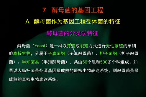 酵母菌的基因工程课件