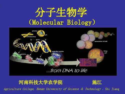 第一章 绪论3分子生物学课件
