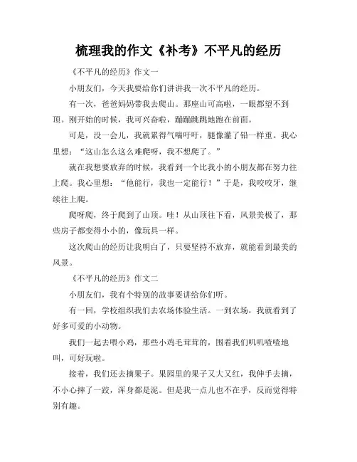 梳理我的作文《补考》不平凡的经历