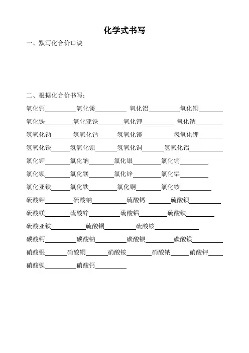 化学式的书写专题训练gai