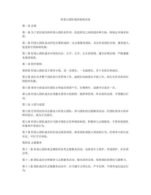 村爱心团队规章制度内容
