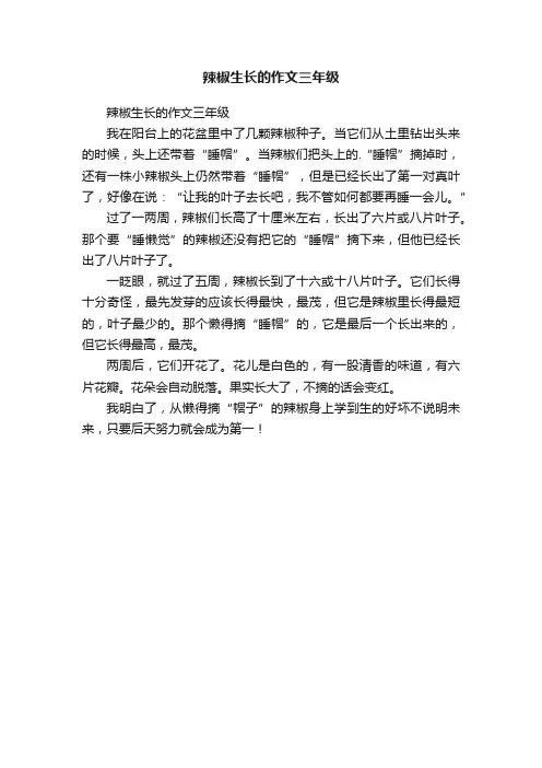 辣椒生长的作文三年级