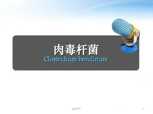 肉毒杆菌  ppt课件