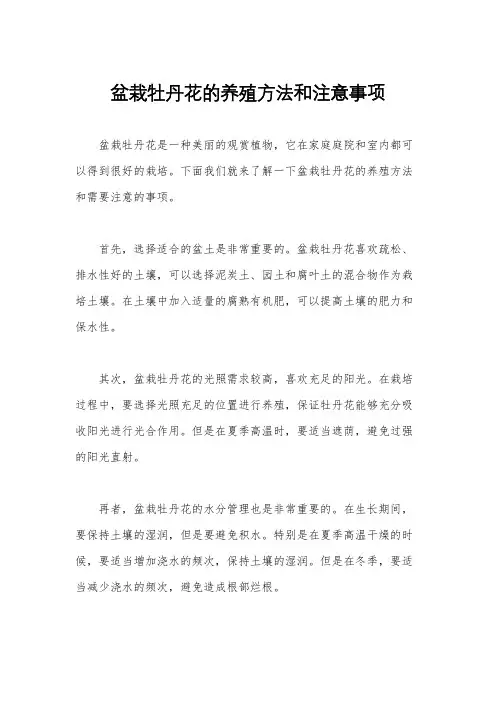 盆栽牡丹花的养殖方法和注意事项