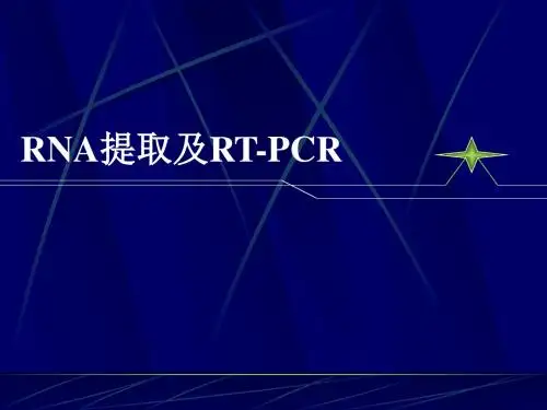 RNA提取及RT-PCR