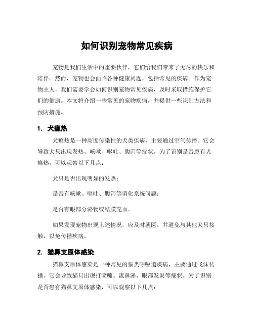 如何识别宠物常见疾病