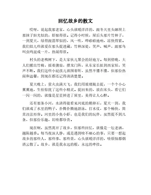 回忆故乡的散文作文