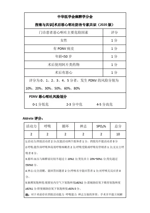 门诊患者呕吐风险评分及Aldrete
