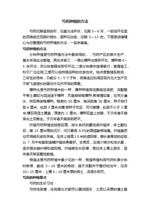 芍药种植的方法