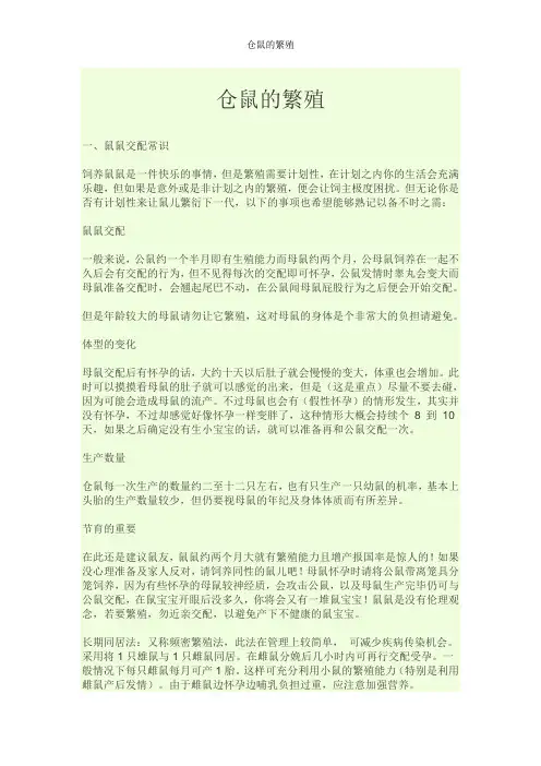 仓鼠的繁殖