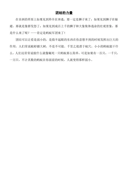 团结的力量