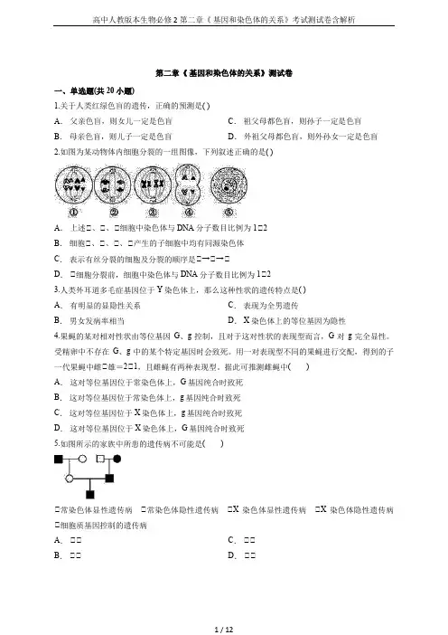 高中人教版本生物必修2第二章《 基因和染色体的关系》考试测试卷含解析
