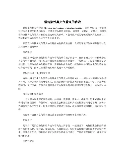猫传染性鼻支气管炎的防治
