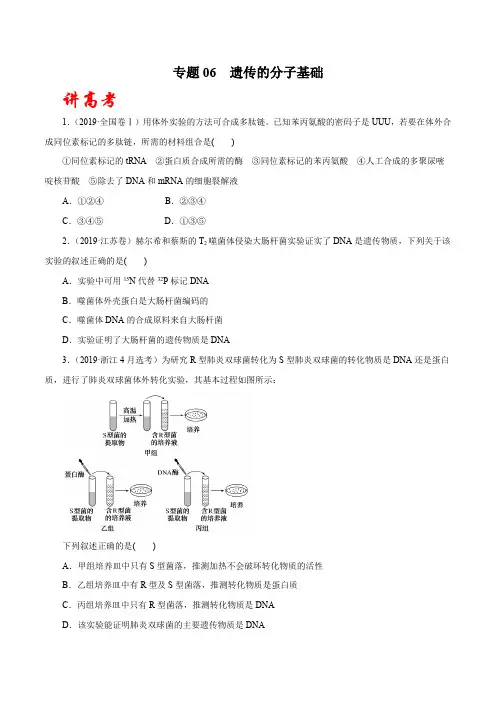 生物高考专题知识点复习及试题讲练测(含解析)：06 遗传的分子基础(讲)