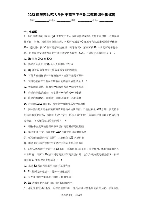 2023届陕西师范大学附中高三下学期二模理综生物试题(含答案解析)