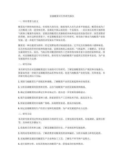 富源酸菜可行性研究报告