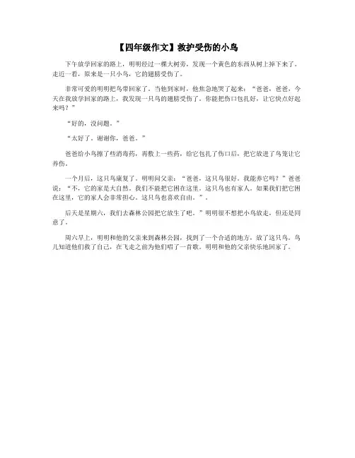 【四年级作文】救护受伤的小鸟