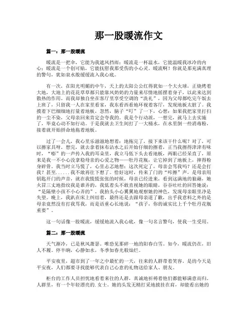 那一股暖流作文