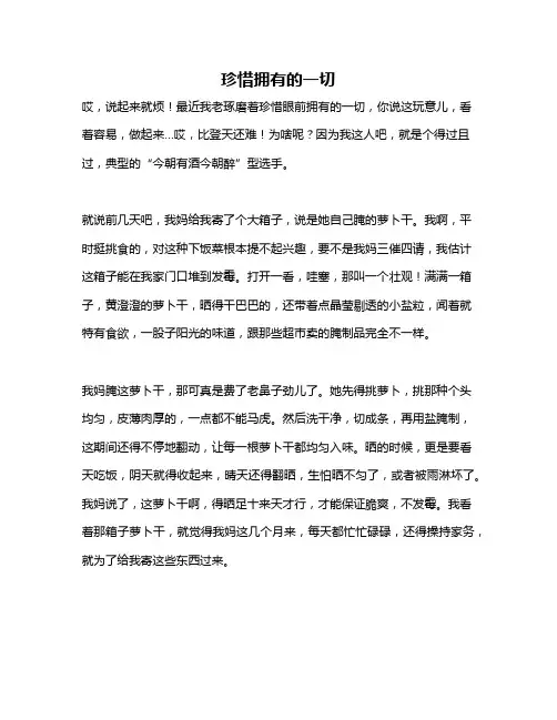 作文《珍惜拥有的一切》