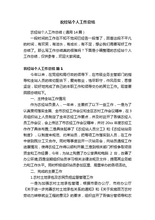农经站个人工作总结