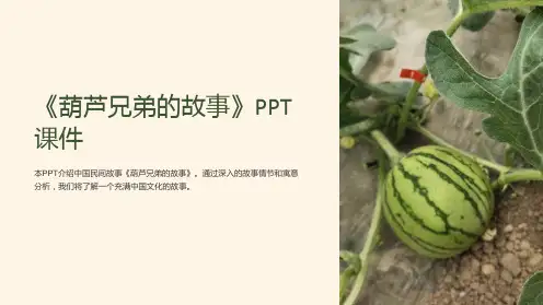 《葫芦兄弟的故事》课件