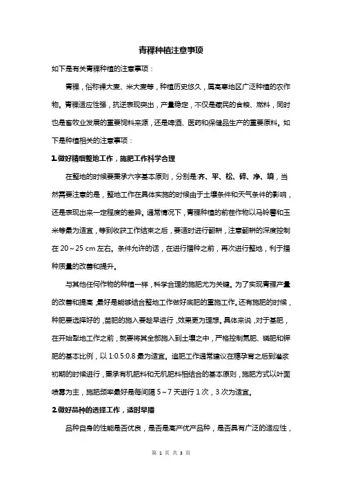 青稞种植注意事项