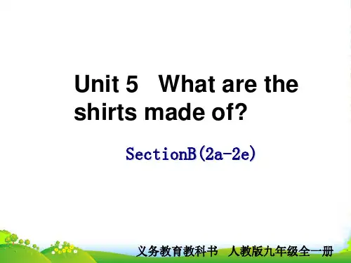 人教版英语九全Unit5 Section B(2a-2e)课件(共39张PPT)
