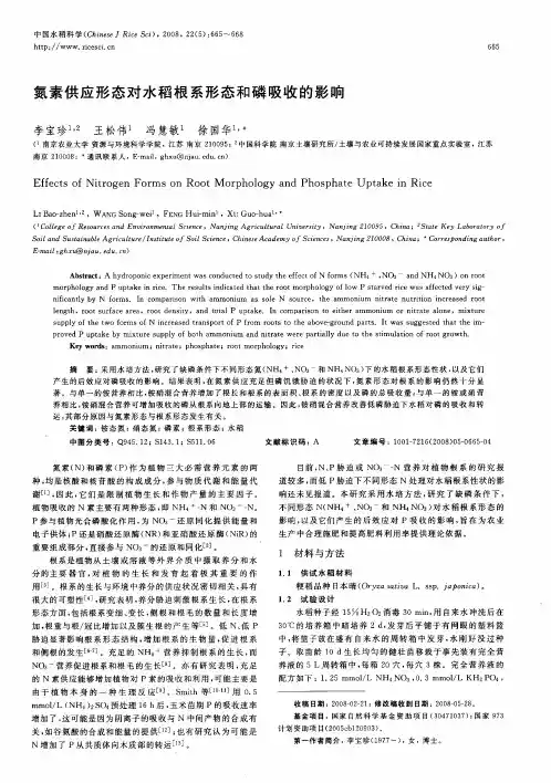 氮素供应形态对水稻根系形态和磷吸收的影响