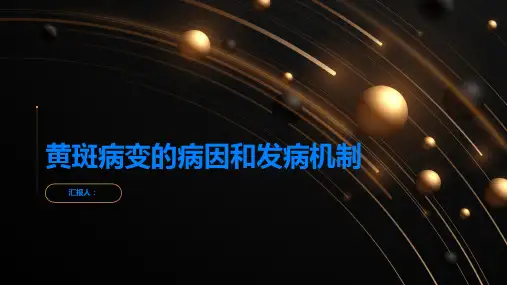 黄斑病变是什么了解病因和发病机制