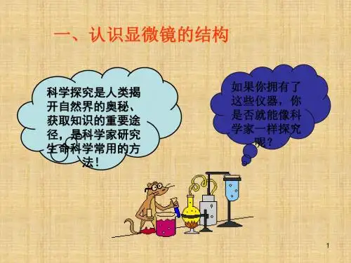 苏科版生物七上第五节《科学探究的基本方法》ppt课件