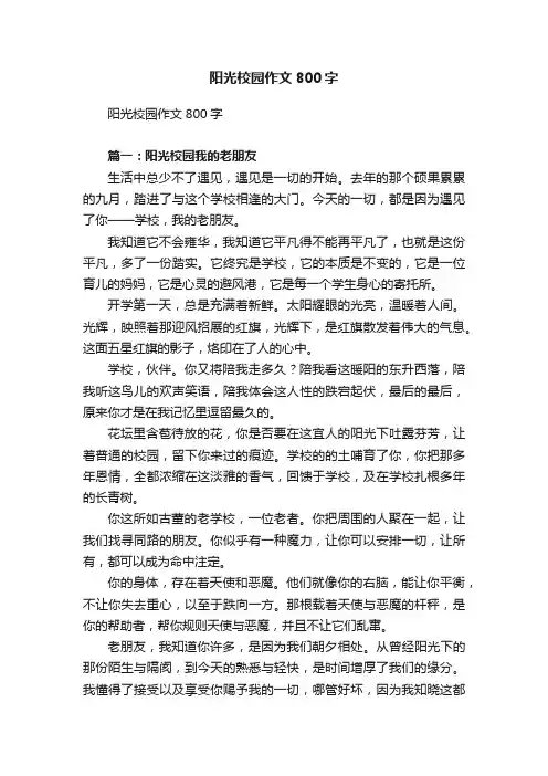 阳光校园作文800字