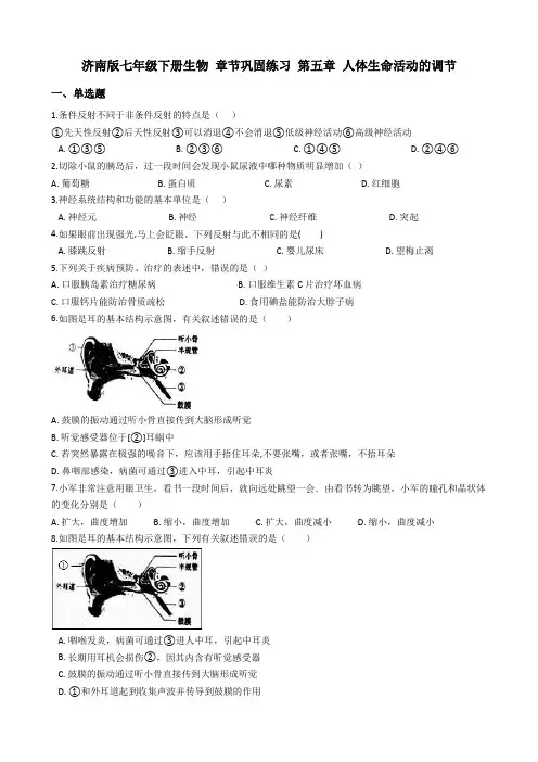 济南版七年级下册生物 章节巩固练习 第五章 人体生命活动的调节