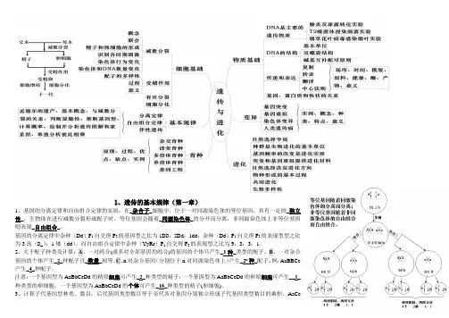 必修二遗传与进化复习提纲