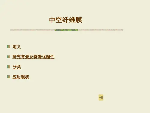 功能性纤维