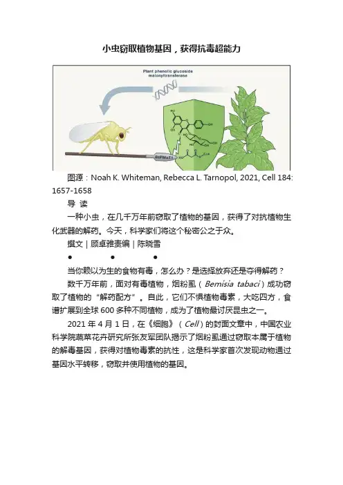 小虫窃取植物基因，获得抗毒超能力