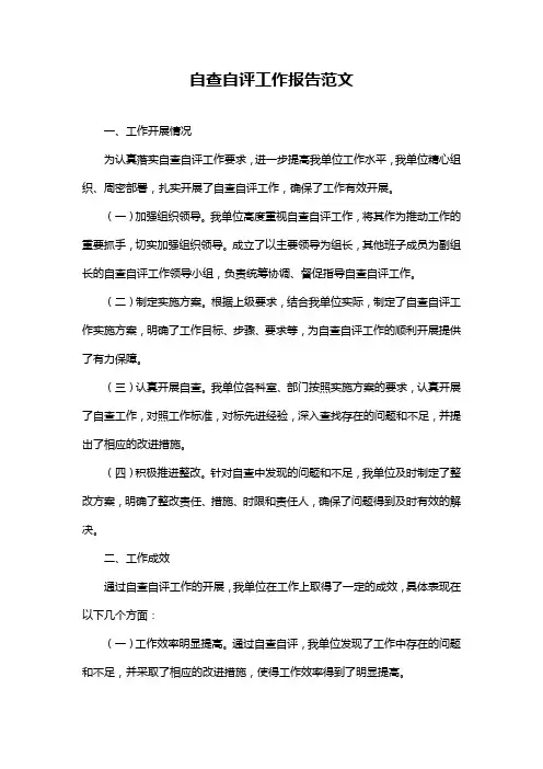 自查自评工作报告范文