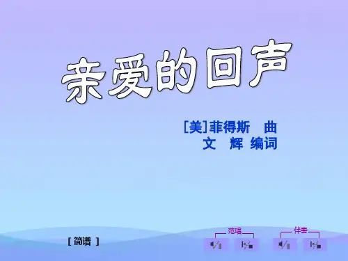 2021最新《亲爱的回声》PPT课件优秀课件