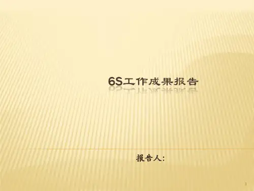 6S成果报告ppt课件