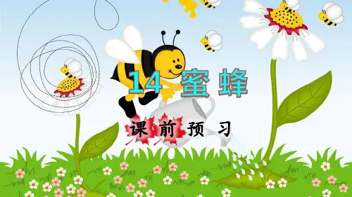 统编版三年级语文下册第14课《蜜蜂》精品课件