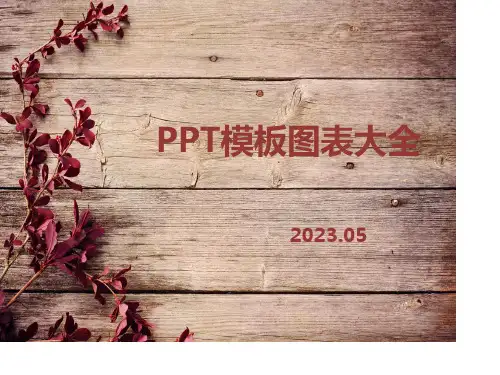 模板图表大全